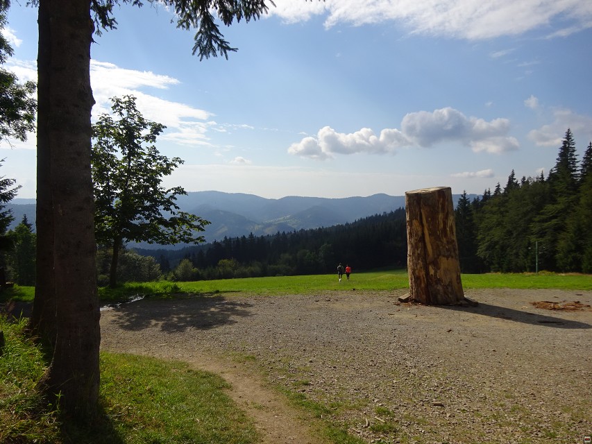 img00005.jpg