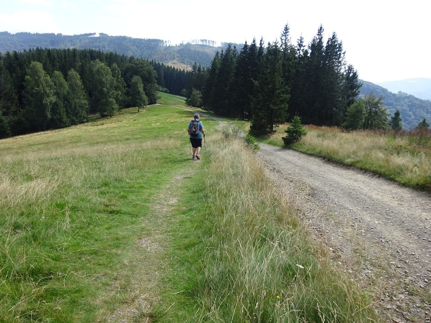 img00011.jpg