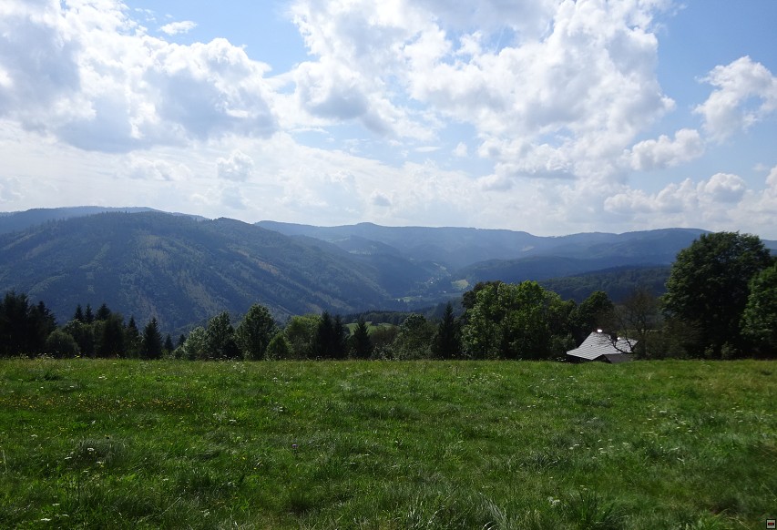 img00013.jpg