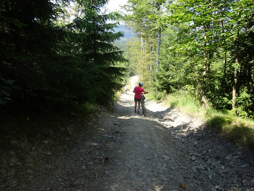 img00016.jpg