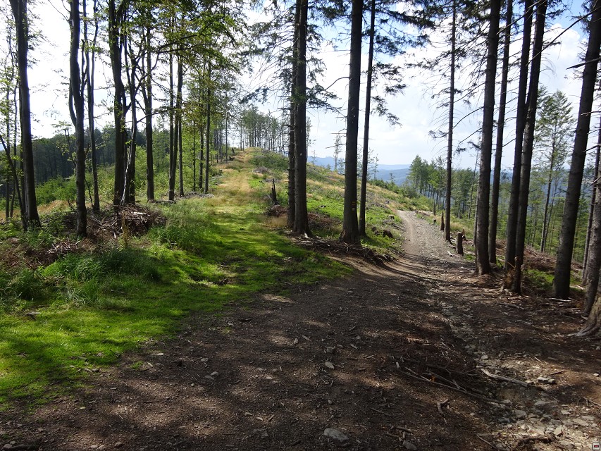 img00017.jpg