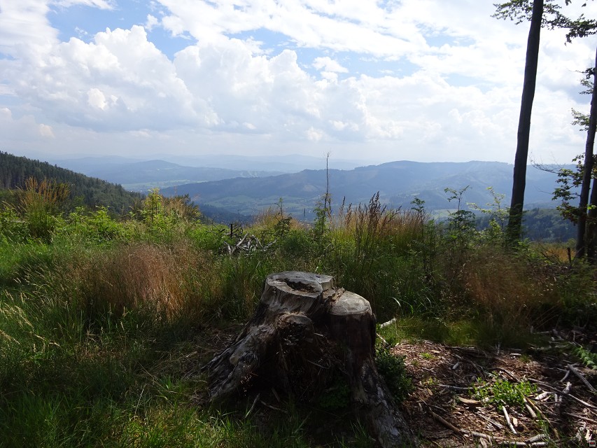 img00018.jpg