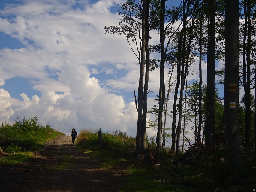 img00021.jpg