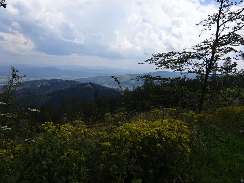 img00026.jpg