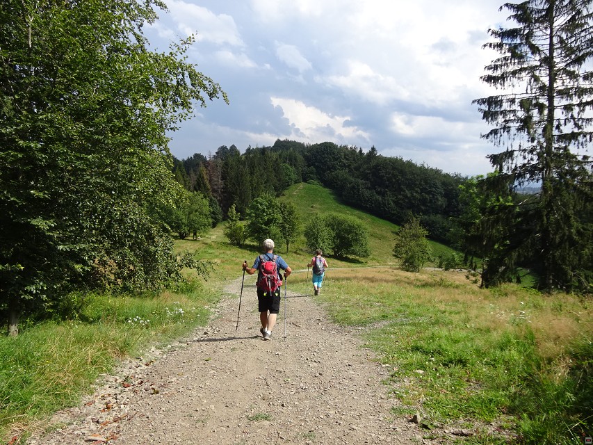 img00028.jpg