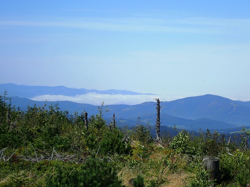 img00018.jpg