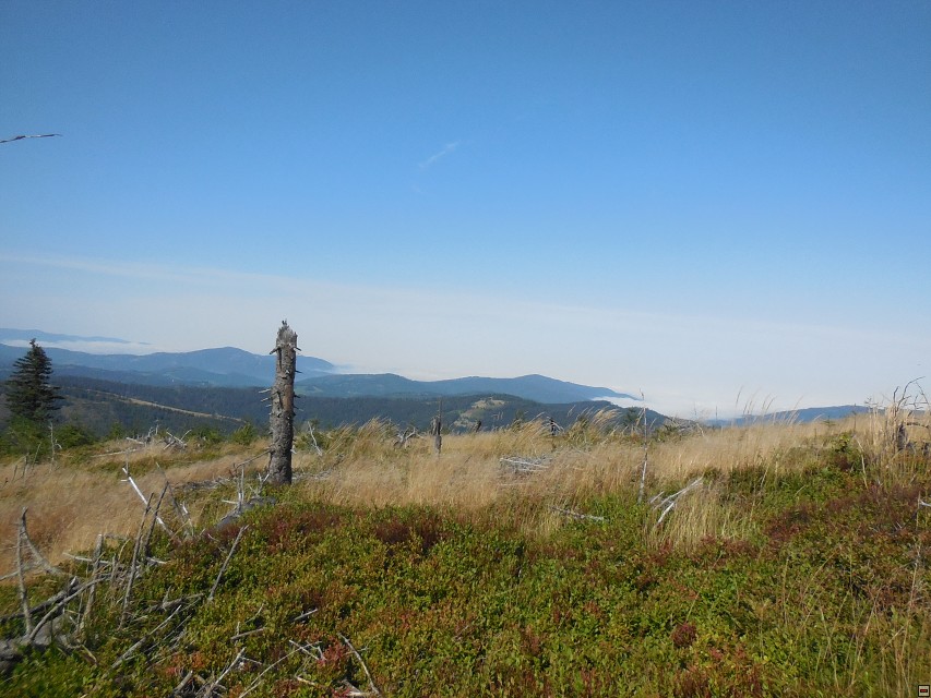 img00022.jpg