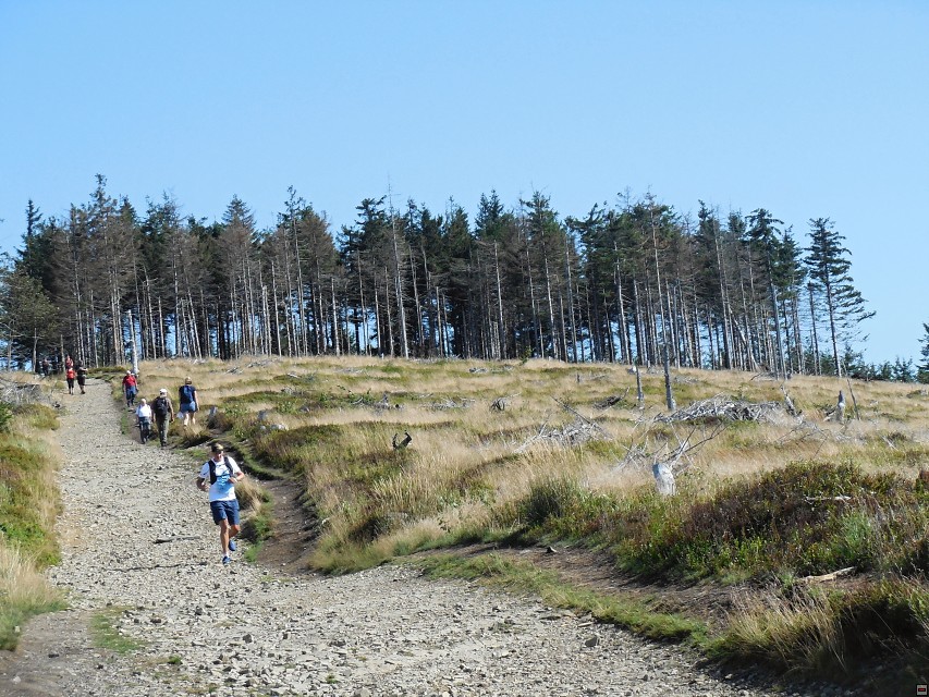 img00024.jpg