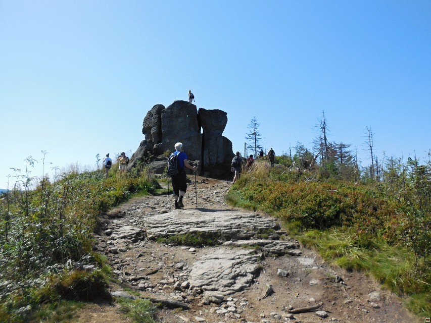 img00026.jpg