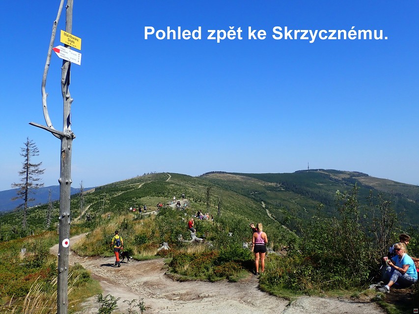 img00028.jpg