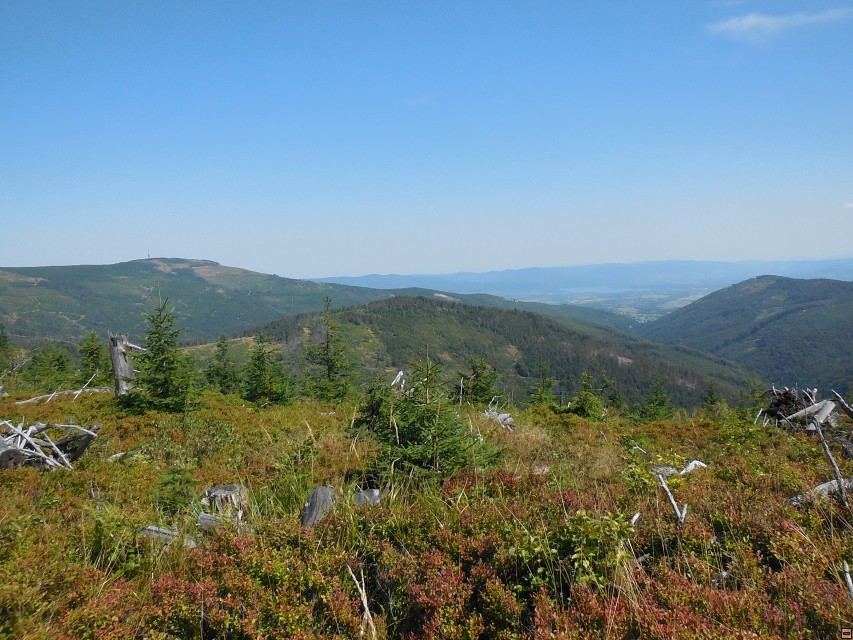 img00033.jpg