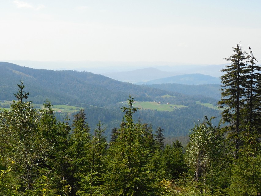 img00038.jpg