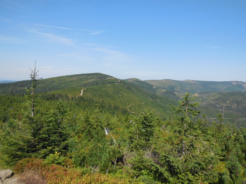 img00039.jpg
