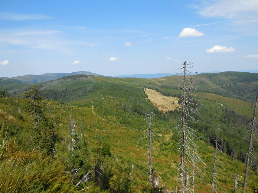 img00044.jpg