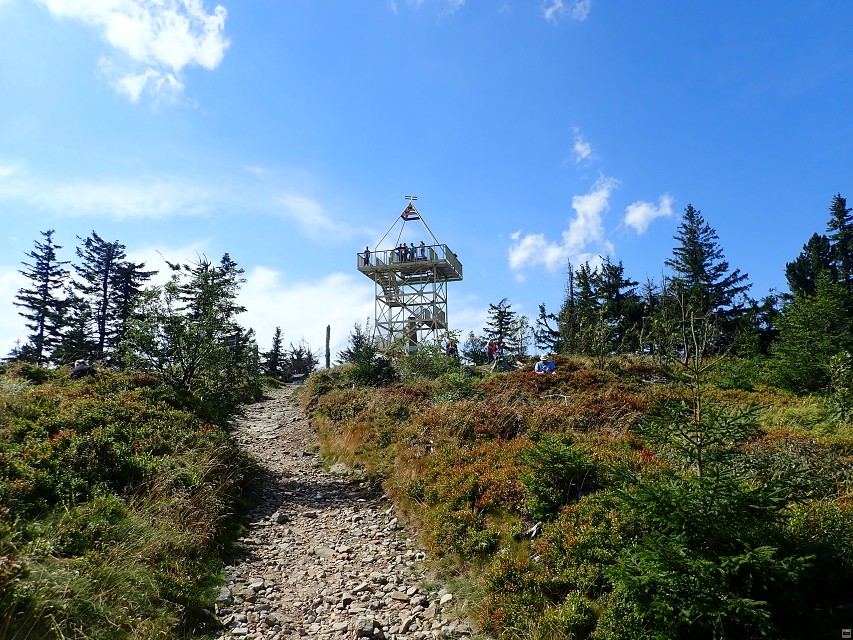 img00046.jpg