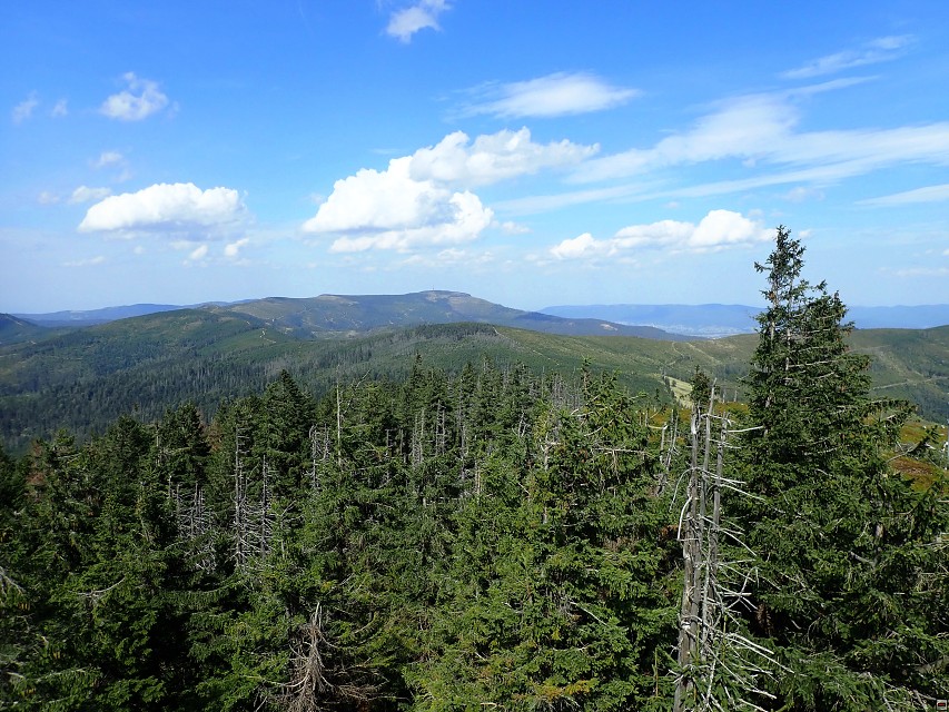 img00049.jpg