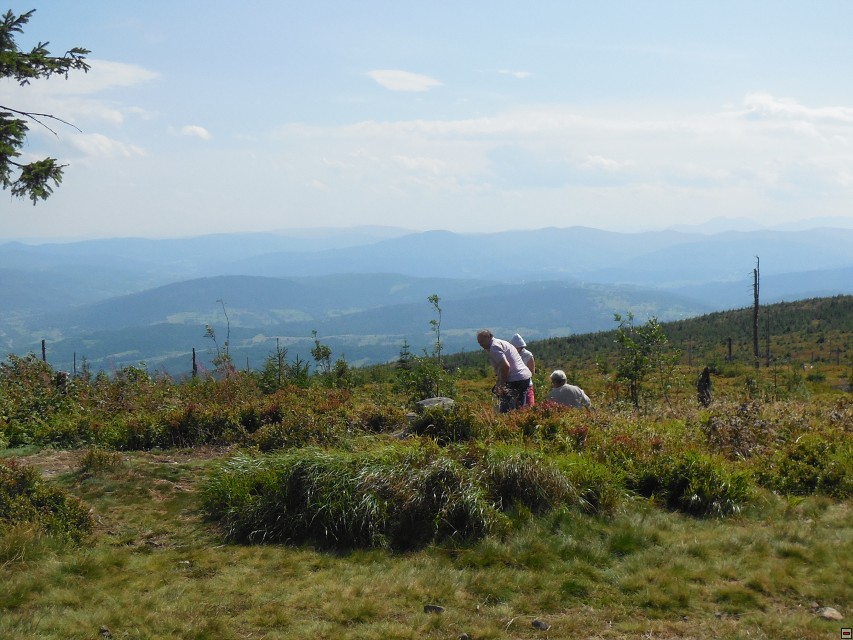 img00056.jpg
