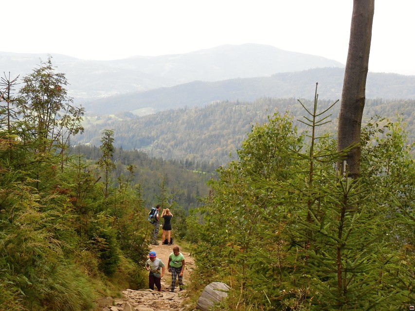 img00060.jpg