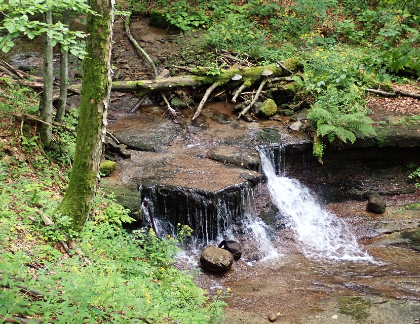 img00064.jpg
