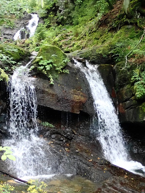 img00067.jpg
