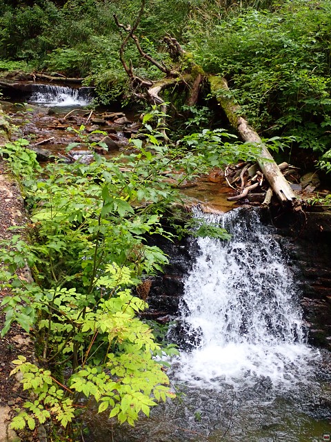 img00068.jpg