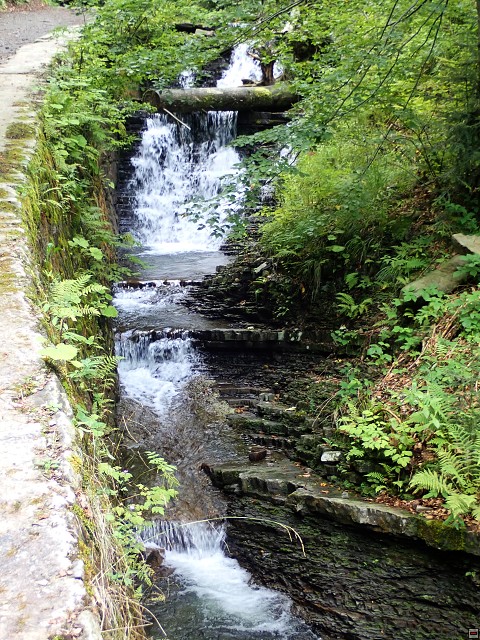 img00069.jpg