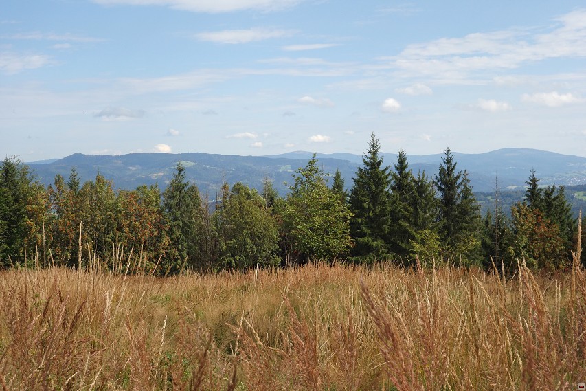 img00035.jpg