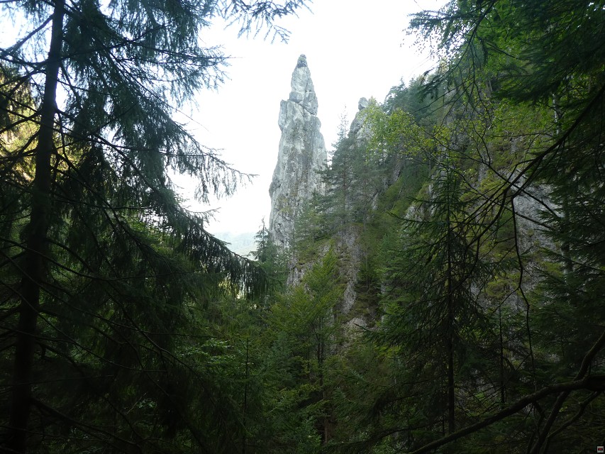 img00006.jpg