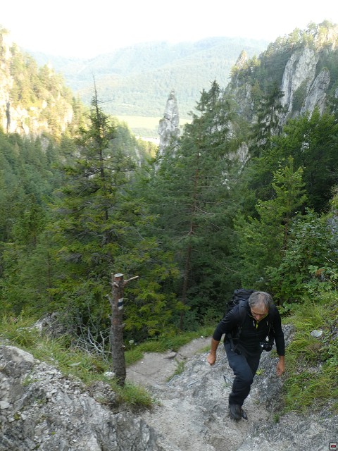 img00011.jpg