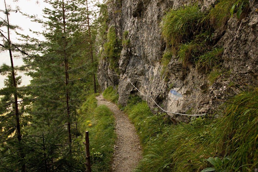 img00012.jpg