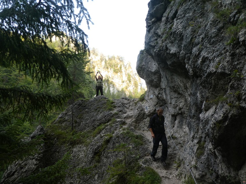 img00015.jpg