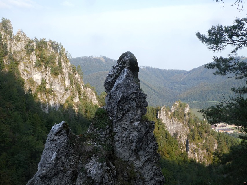 img00016.jpg