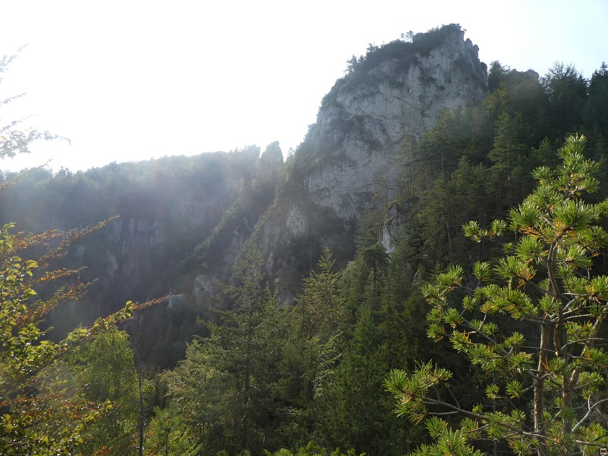 img00020.jpg