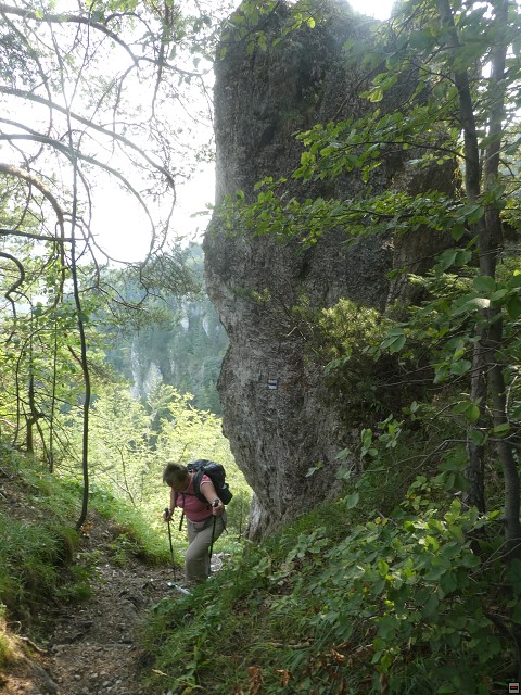 img00021.jpg