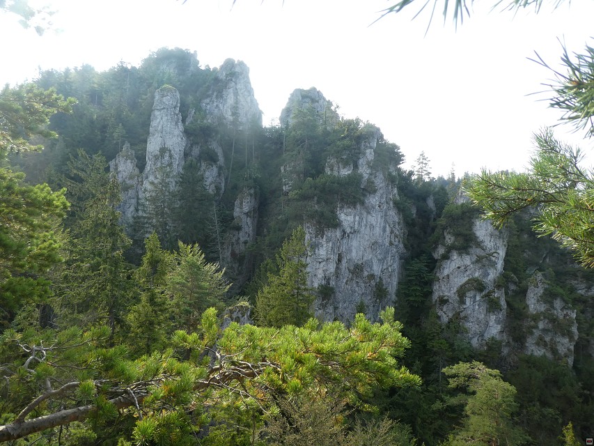 img00026.jpg