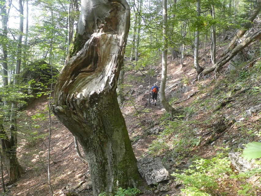 img00027.jpg
