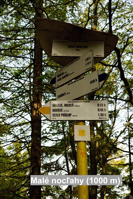 img00028.jpg