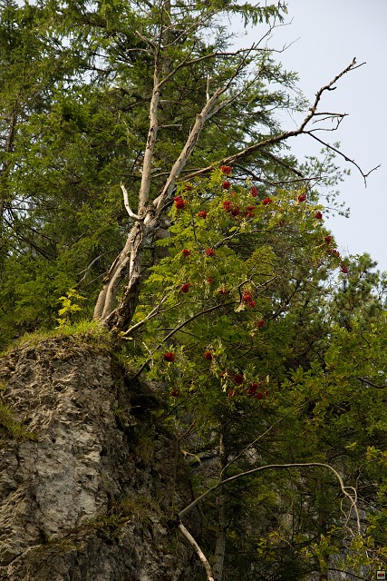 img00030.jpg