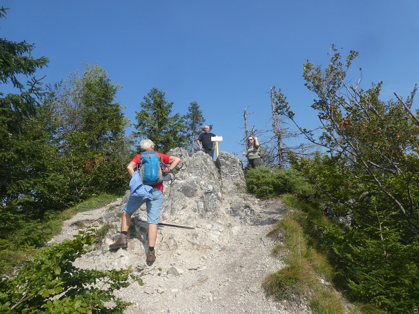 img00031.jpg