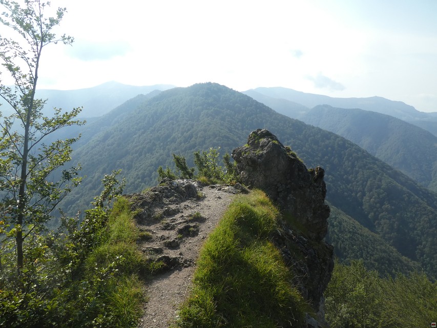 img00035.jpg