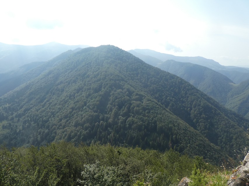 img00036.jpg