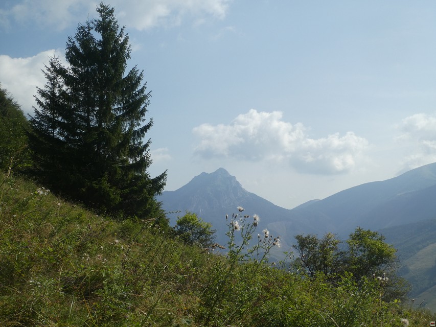 img00037.jpg