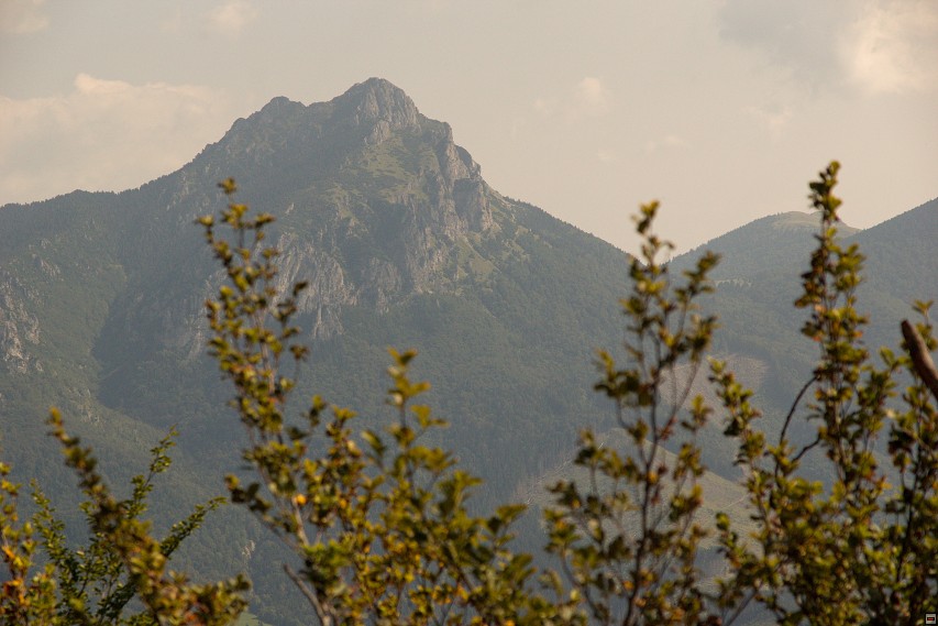 img00039.jpg