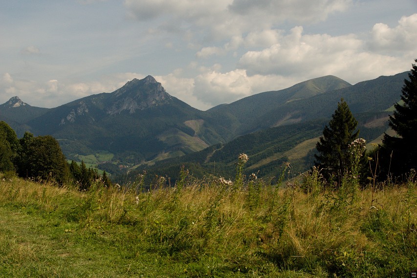 img00041.jpg