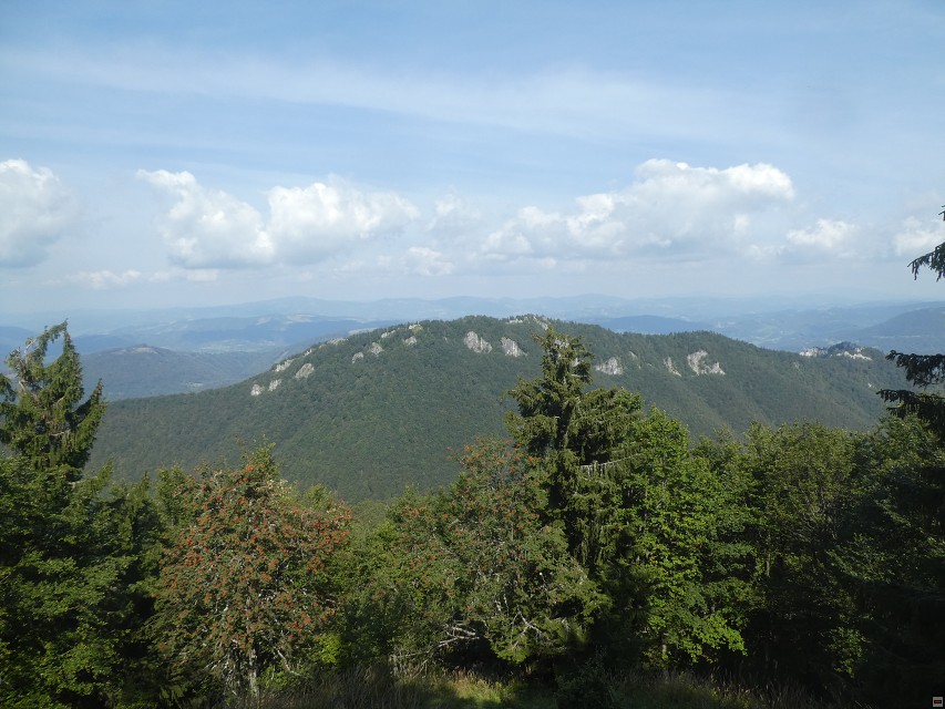 img00045.jpg