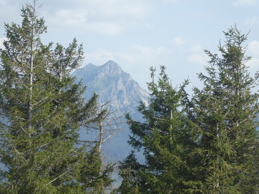 img00047.jpg