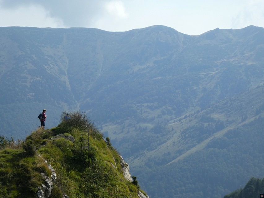 img00048.jpg