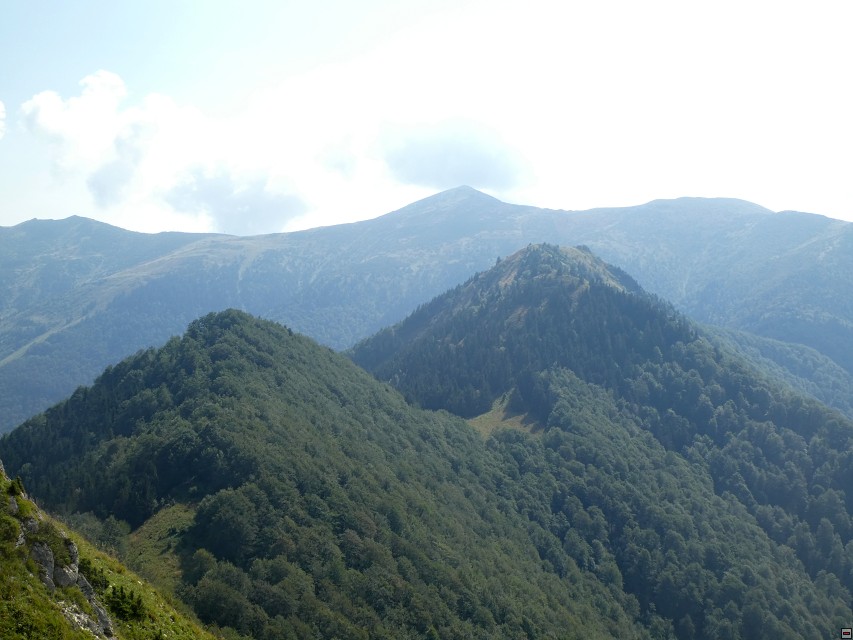 img00049.jpg