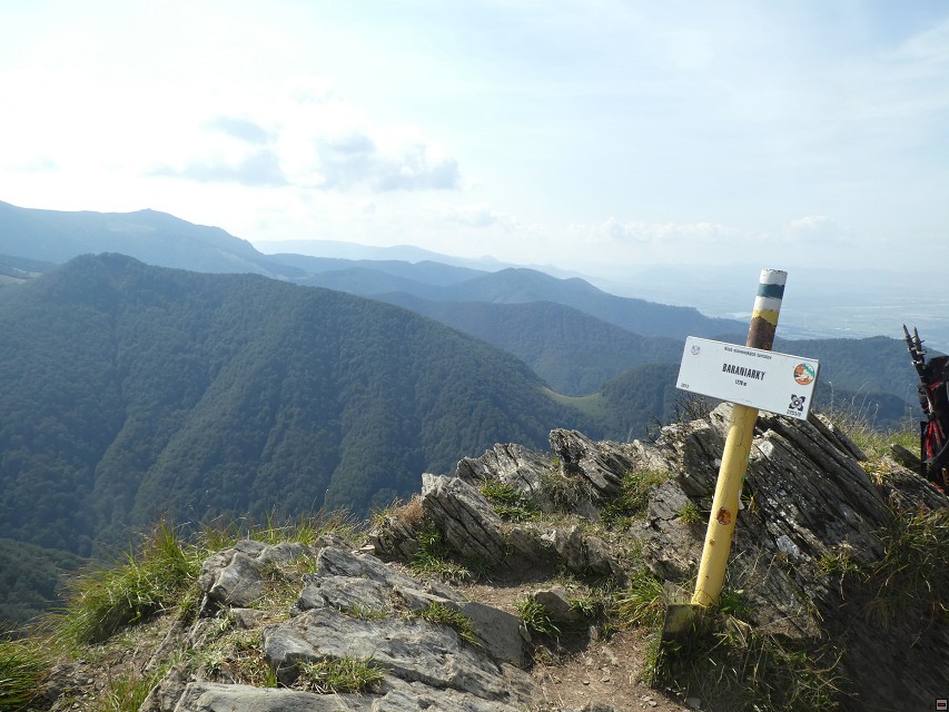 img00050.jpg