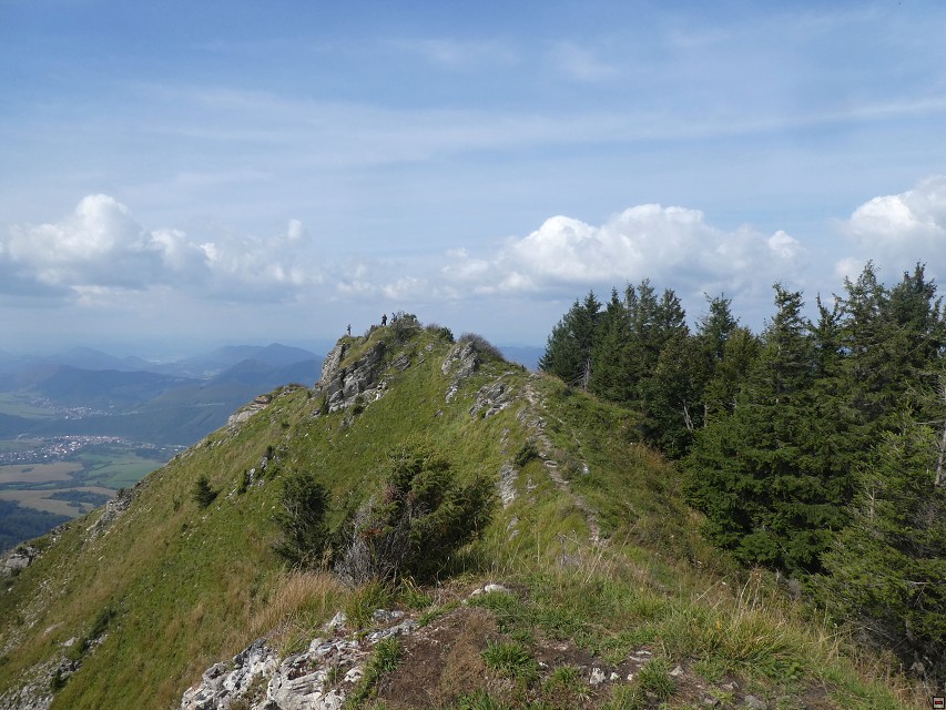 img00051.jpg